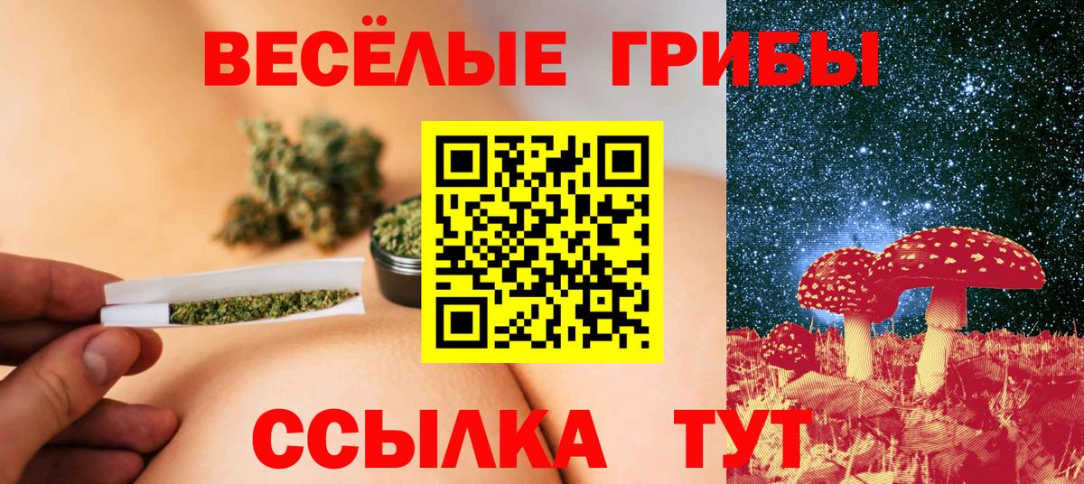 Белово  Галлюциногенные грибы ЛСД  Вход с VPN 